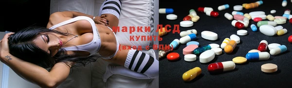 apvp Алексин