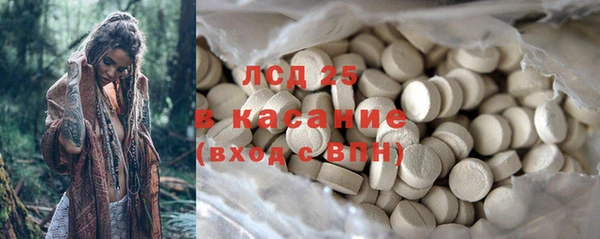 крисы Алзамай